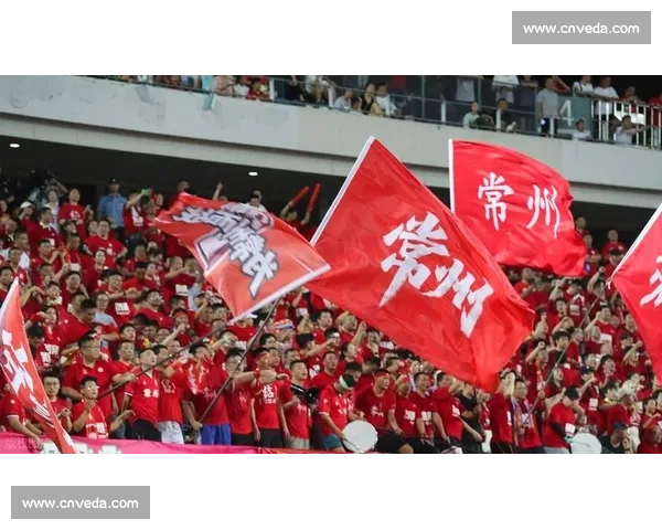 苏超现象:当纯粹足球点燃全民狂欢