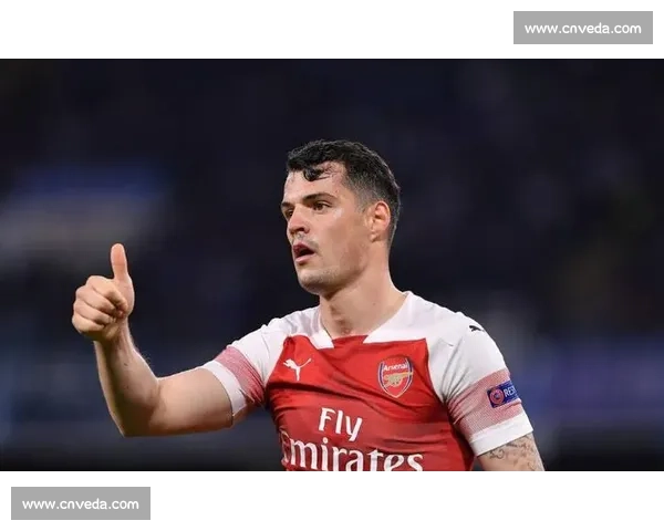 扎卡米兰转会印证操盘力 亚沙里与老将共筑中场新篇